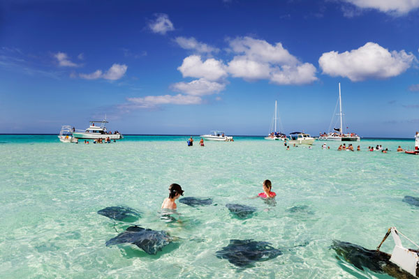 Swimming with the Stingrays in the Cayman Islands