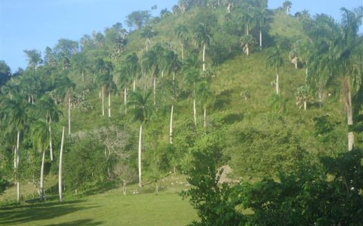 Large residential plot  Sosua