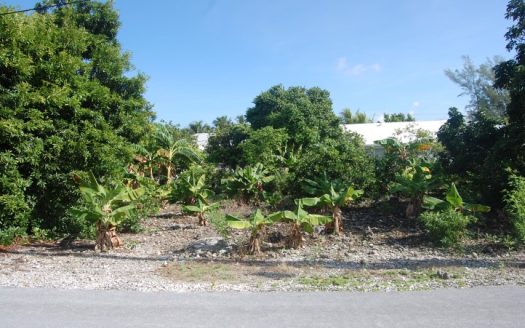SOLD Spanish Wells Vacant Lots For Sale
