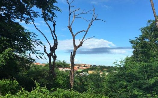 True Blue, St. George’s