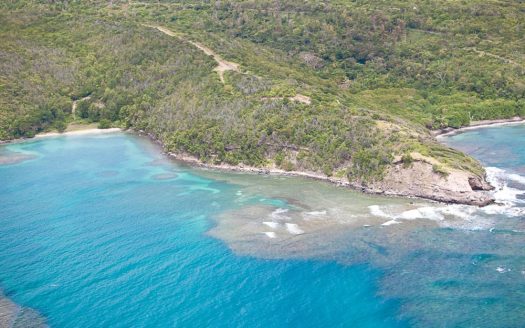 Petite Trout St. David