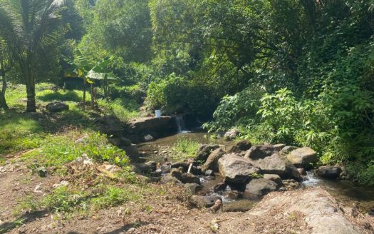 Agricultural Land St. Mark