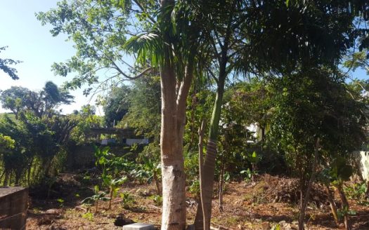 Lot near the center of Sosua for sale