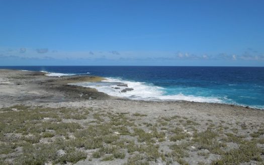 Whale Point Lot Of 2