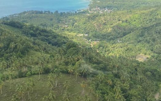 Unique Opportunity on Large Beachfront Land near Las Terrenas for Sale