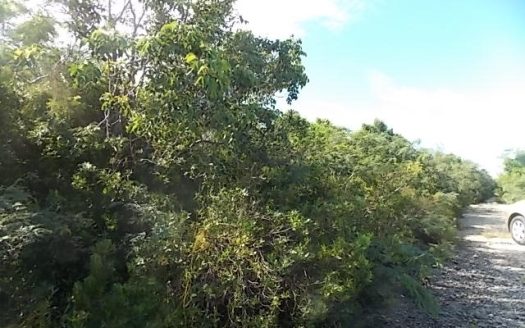 UNDER ACCEPTED OFFER Vacant Land in Stella Maris