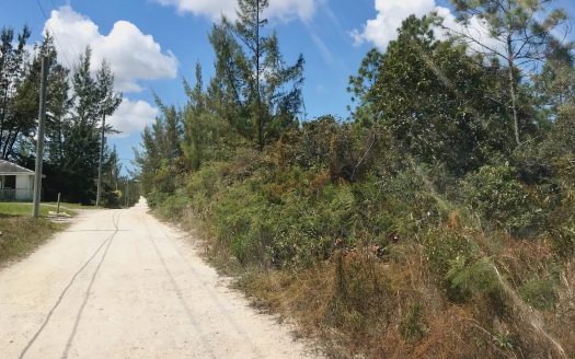 Single Family Vacant Lot