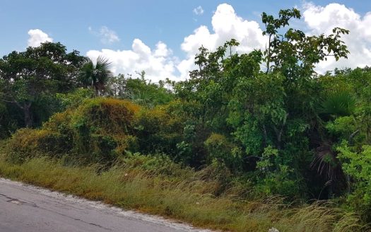 Great Harbour Cay Multi-Family