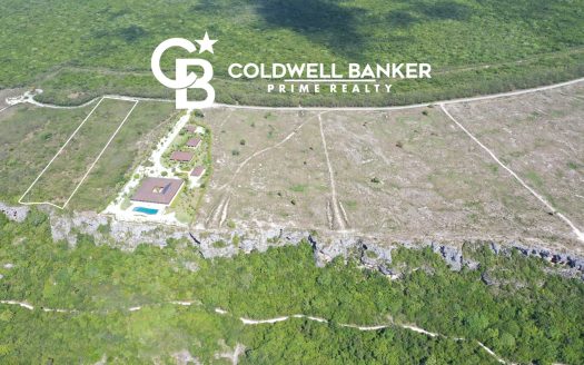 Lagoon Front Cap Cana Residential Lot in Beautiful Tropical Setting