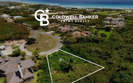 Prime Residential Lot for Sale in Cap Cana with Ocean View Potential