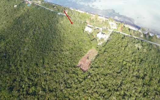 Andros Elevated Lot For Sale