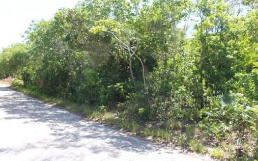 SOLD Abaco Lot with Beach Access