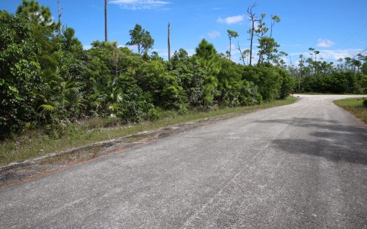 SOLD Grand Bahama Multi-Family Lot