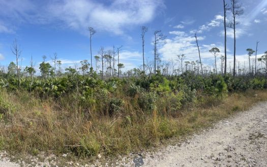 Freeport Vacant Lot For Sale