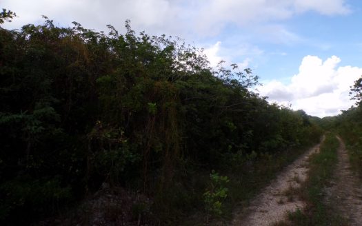 Long Island Vacant Lot For Sale