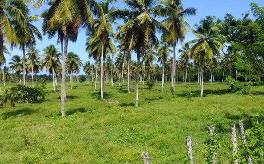 Unique Opportunity Land starting at $125 x m2 near Las Terrenas for Sale