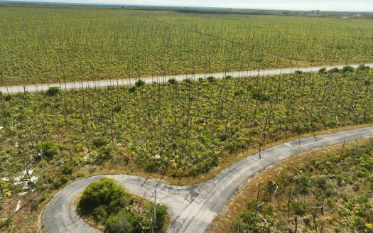 Freeport Lot For Sale