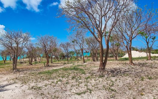 Russell Island Waterfront Acreage For Sale