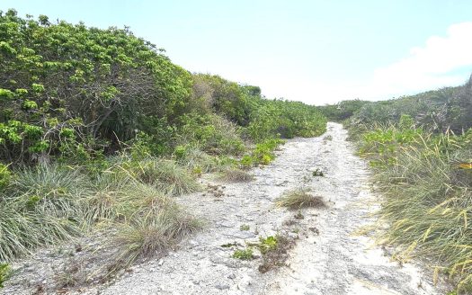 North Eleuthera Lot For Sale