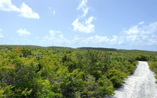 UNDER ACCEPTED OFFER San Salvador Vacant Lot For Sale