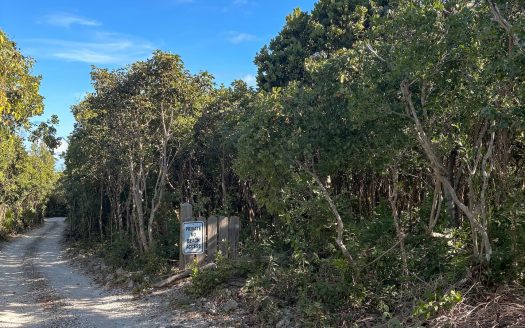 Abaco Combined Vacant Lot For Sale