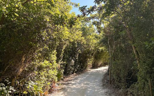 Abaco Vacant Lot For Sale