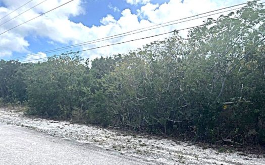 Long Island Vacant Lot