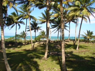 Perfect Land for Beachfront Development  in Sabaneta for Sale