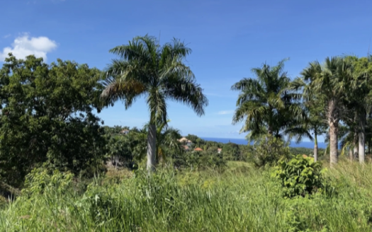 Ocean view Residential  land in a luxury gated community in Sosua for sale