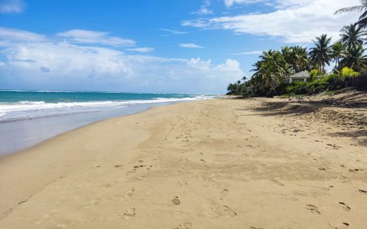 Beautiful Beachfront Land near the Center of Cabarete