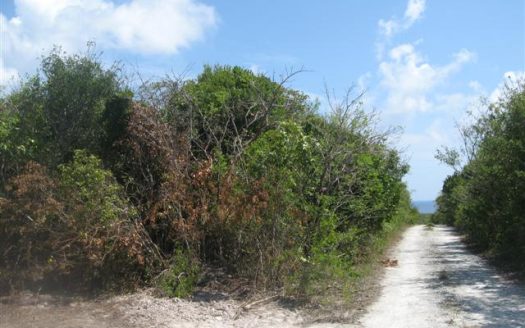 SOLD Eleuthera Island Shores